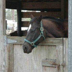 Meet your Posher, Dixie